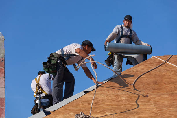Best Flat Roof Repair Services  in Forestville, CA