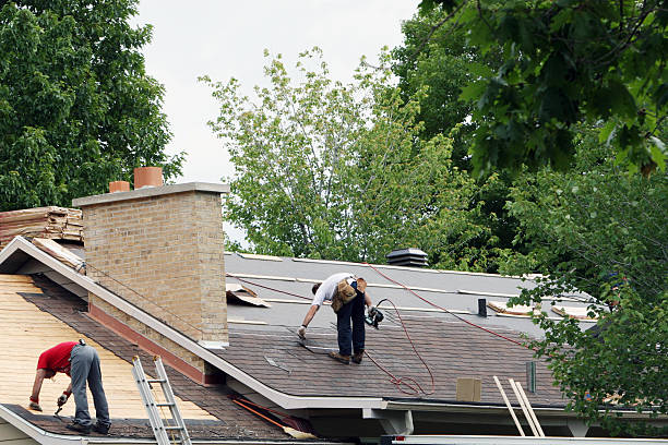 Best Roof Repair Services  in Forestville, CA