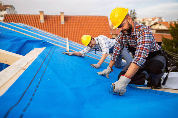 Best Best Roofing Contractors  in Forestville, CA