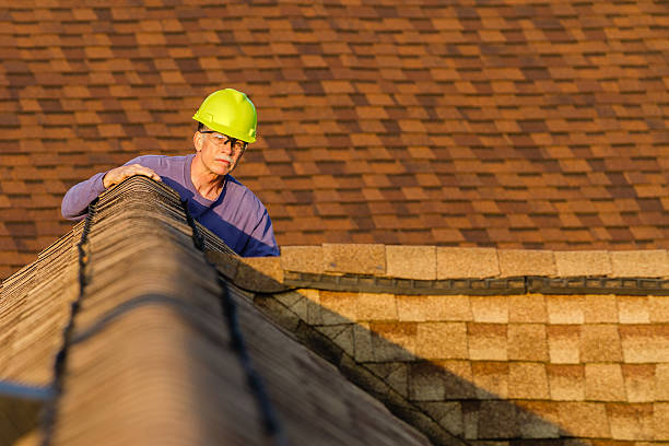 Best Metal Roofing Contractor  in Forestville, CA